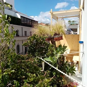 Ariston Petit Palermo